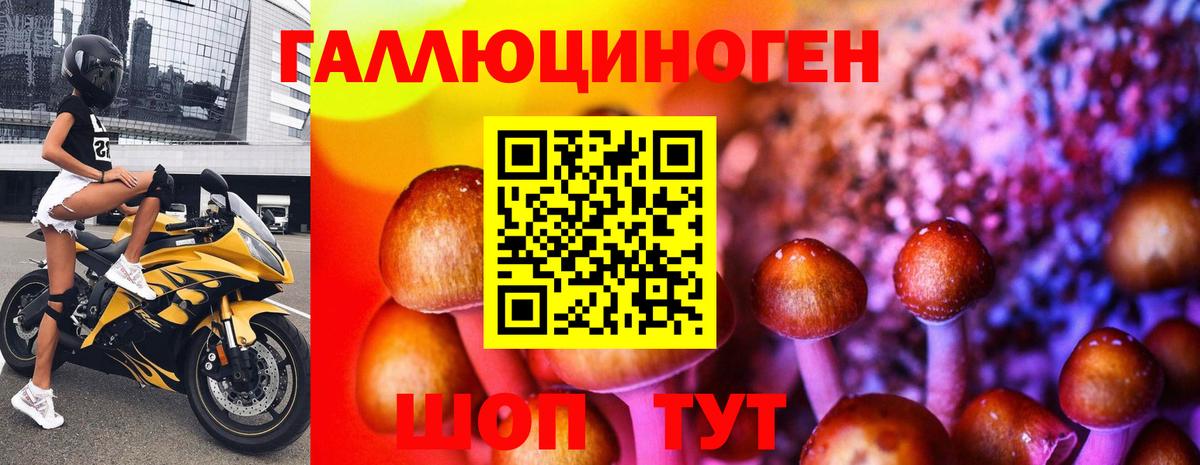 Псилоцибиновые грибы прущие грибы Орёл