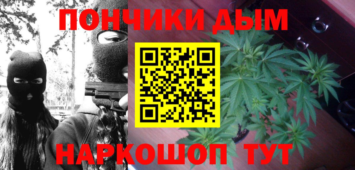 Конопля планчик Орёл